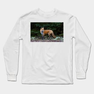 Red Fox - Algonquin Park, Canada Long Sleeve T-Shirt